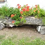 Bio-bauernhof Rettenbachgut Werfen