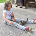 Bio-bauernhof Rettenbachgut Alloggio per agriturismo Werfen