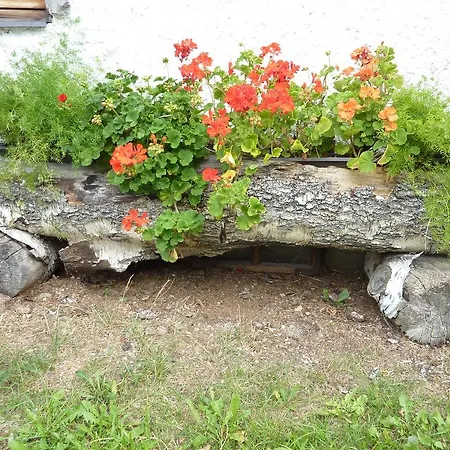 Bio-bauernhof Rettenbachgut 韦尔芬