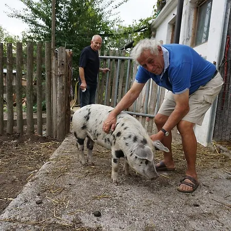 Çiftlik konaklama Bio-bauernhof Rettenbachgut *