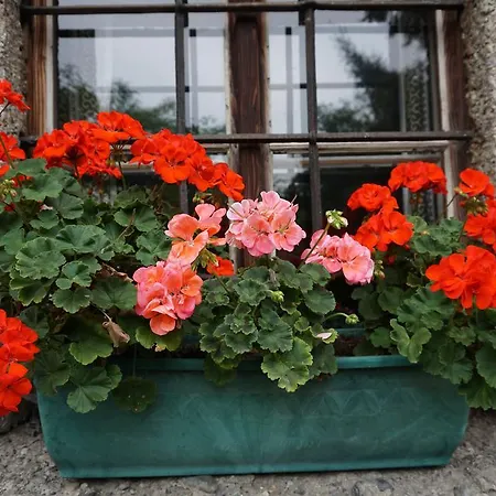 Çiftlik konaklama Bio-bauernhof Rettenbachgut *