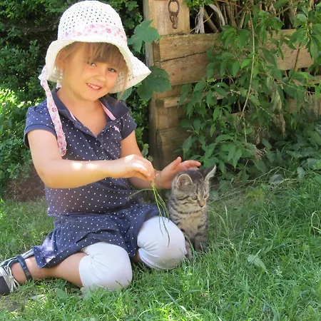 Bio-bauernhof Rettenbachgut Werfen