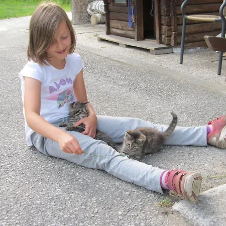 Bio-bauernhof Rettenbachgut Çiftlik konaklama Werfen